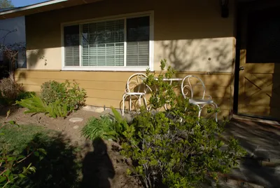 DSC_0059 (Large).JPG